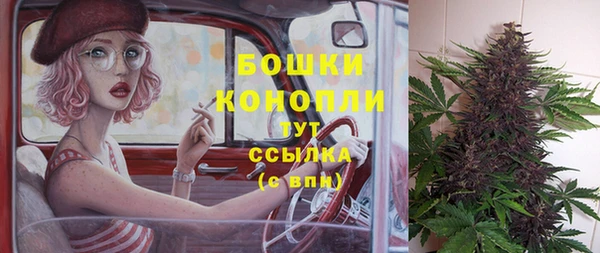 мет Дмитриев